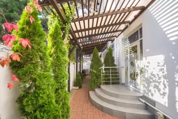 Гостиница «Абрикос Плюс», Геленджик, Кирова, д.17 Гостиница «Абрикос Плюс», Геленджик, Кирова, д.17